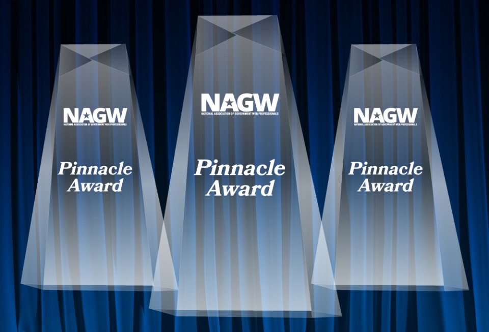 Pinnacle Awards